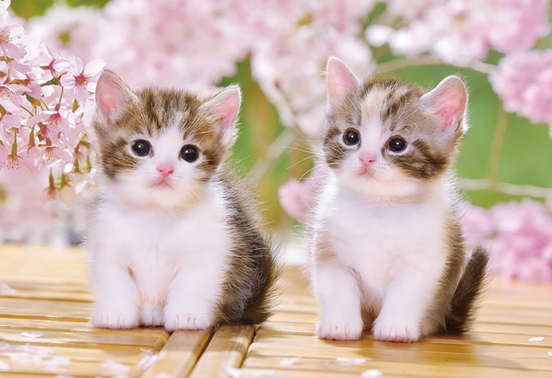 Epoch 25-183 Sitting kitten Puzzle - BanzaiHobby