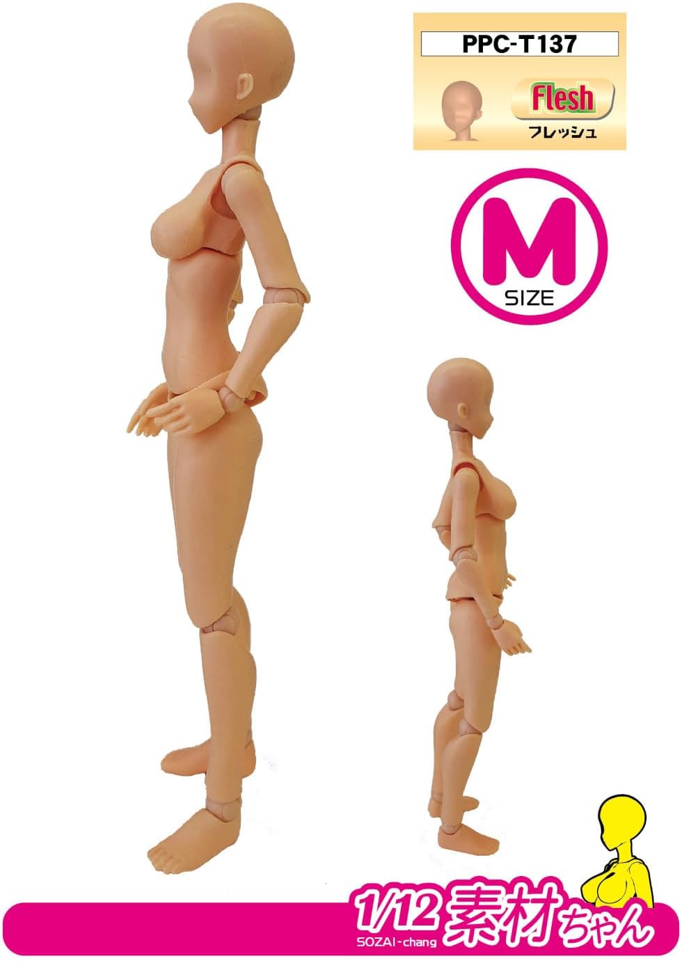 Hobby Base PPC-T137 1/12 Premium Parts Collection Joint Technique EX Material Chan M Fresh - BanzaiHobby