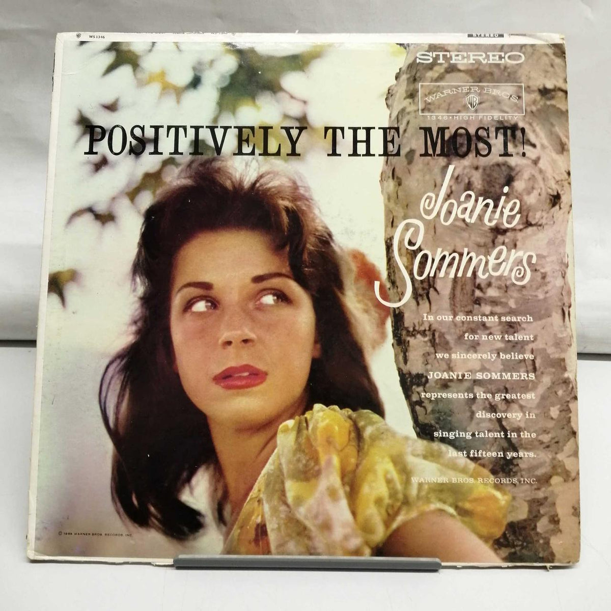 WARNER BROS POSITIVELY THE MOST! WS1346