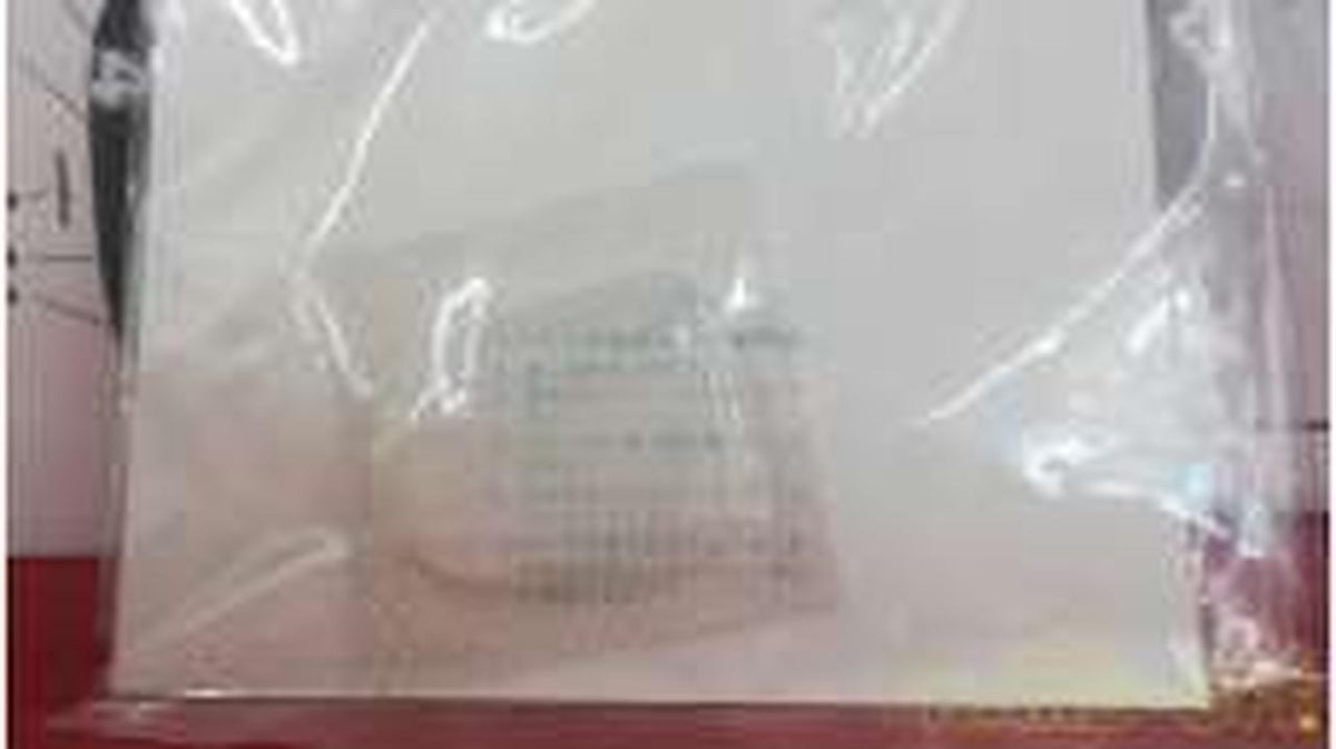 hobby base P34 '77 Fuji Speedway F1 IN JAPAN Spec Resin Kit - Banzai Thrifting | BanzaiHobby