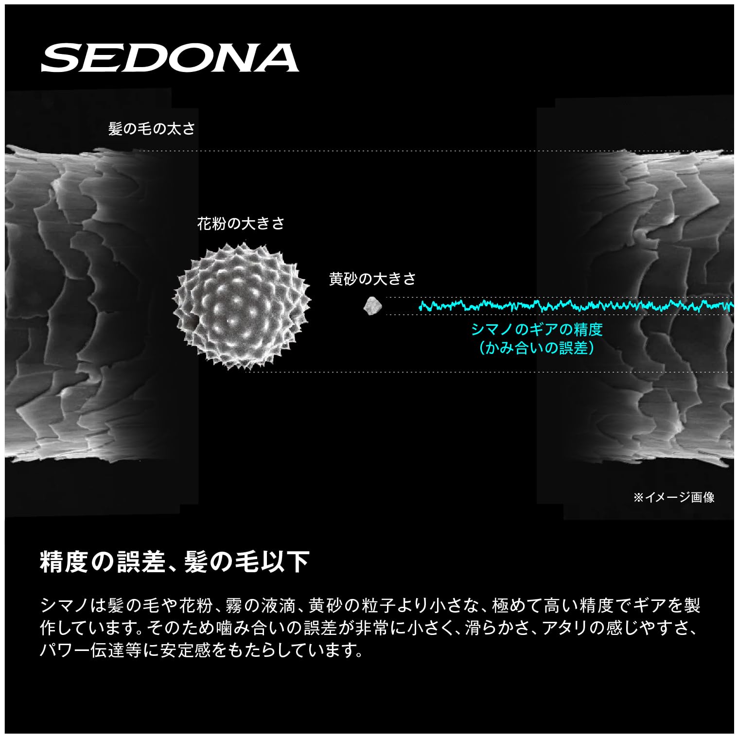 シマノ(SHIMANO) スピニングリール 23 セドナ 500