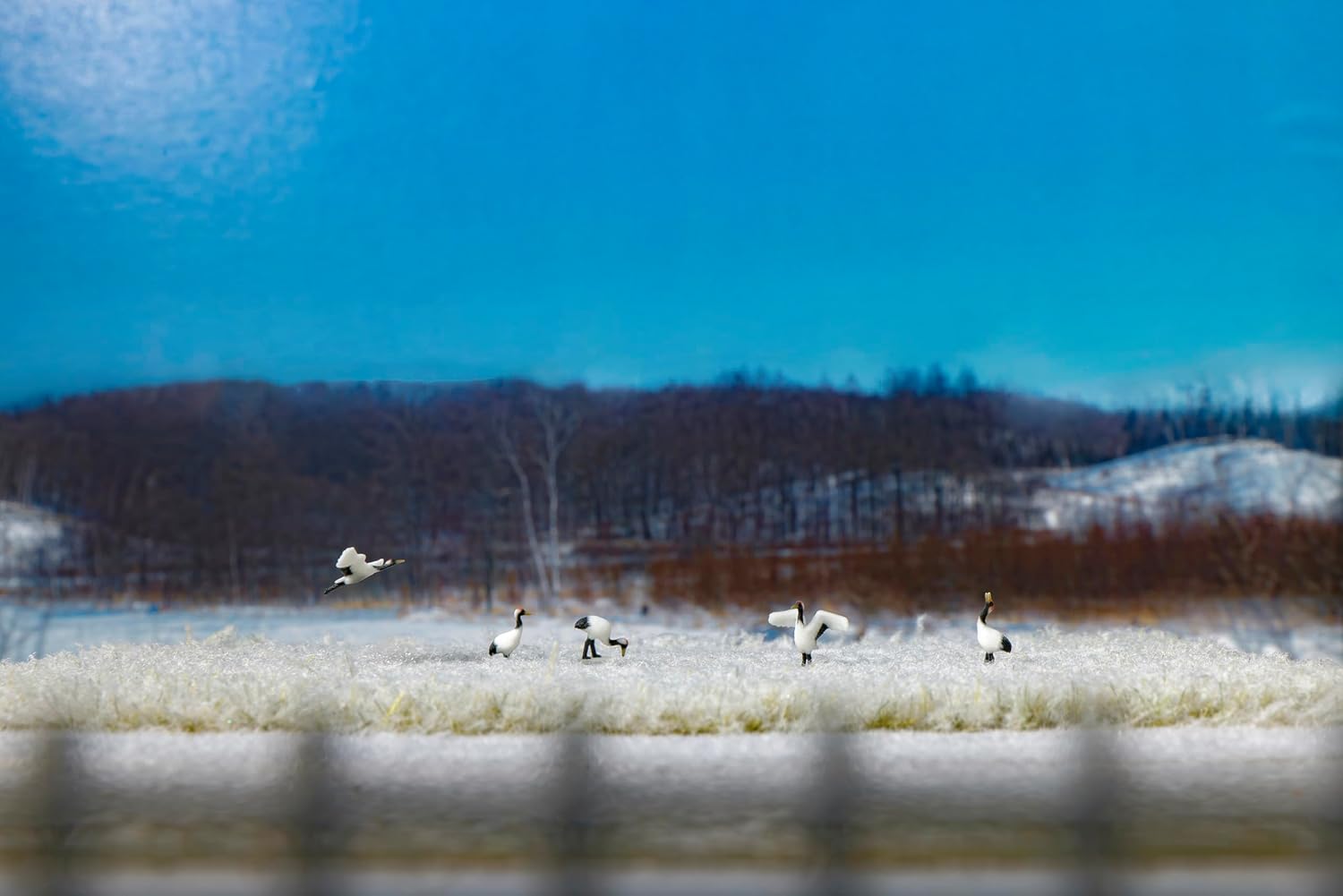 KATO 24-712 1/150 Red-Crowned Cranes - BanzaiHobby