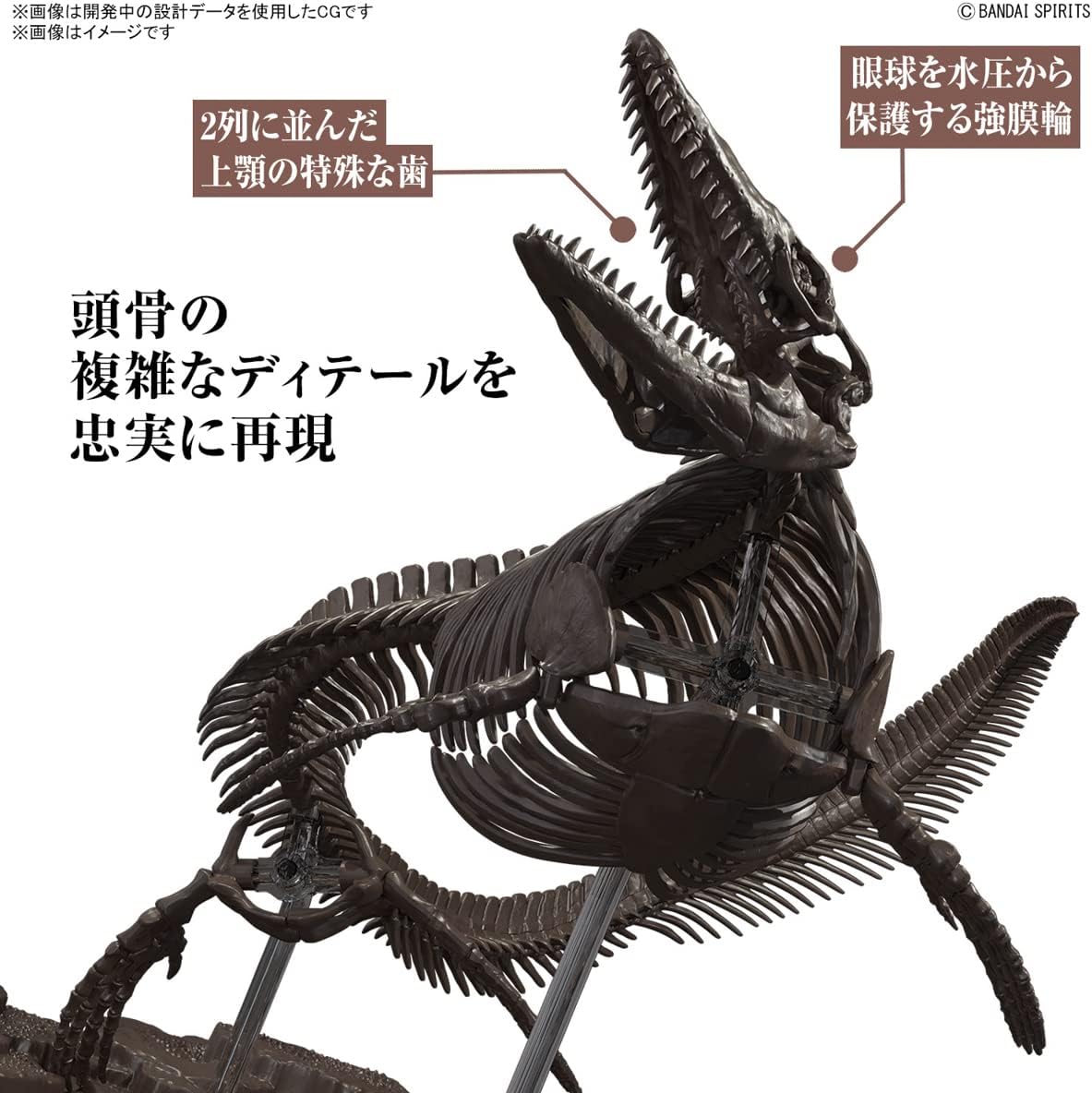 Bandai Imaginary Skeleton | Mosasaurus 1/32 Scale Plastic Model - BanzaiHobby