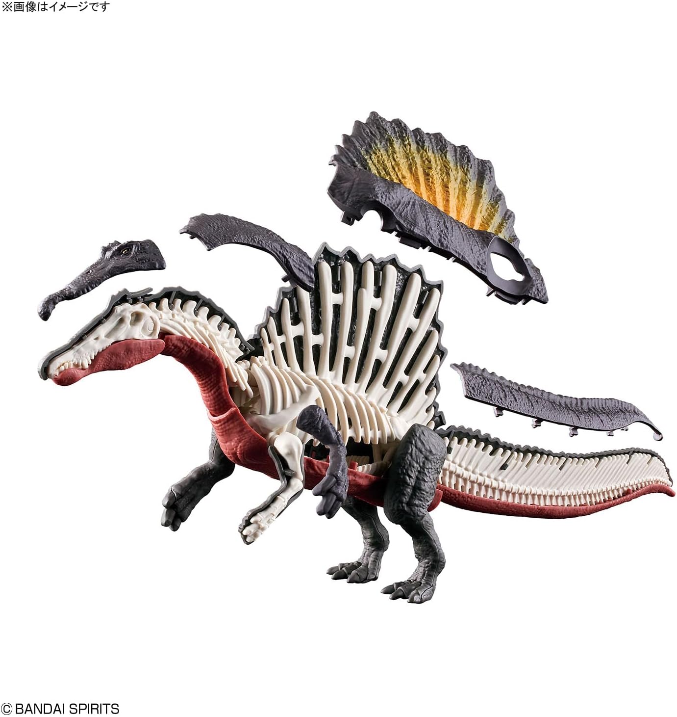 Bandai Planosaurus 05 | Spinosaurus Plastic Model - BanzaiHobby