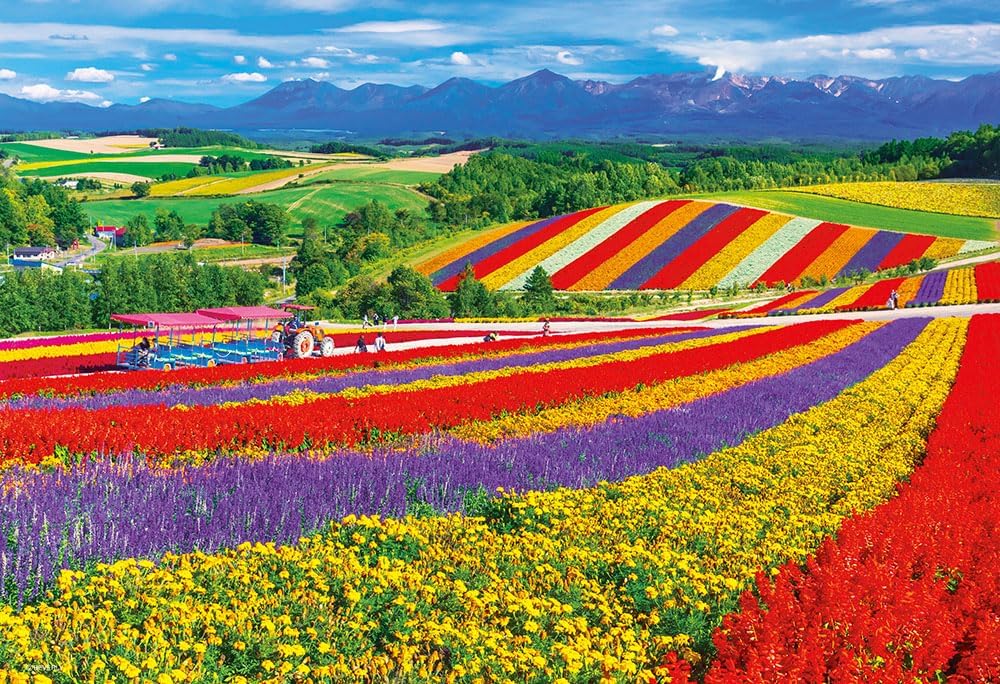 Beverly 1000M-014Biei's flower-blooming hills, landscape, Japan Puzzle - BanzaiHobby