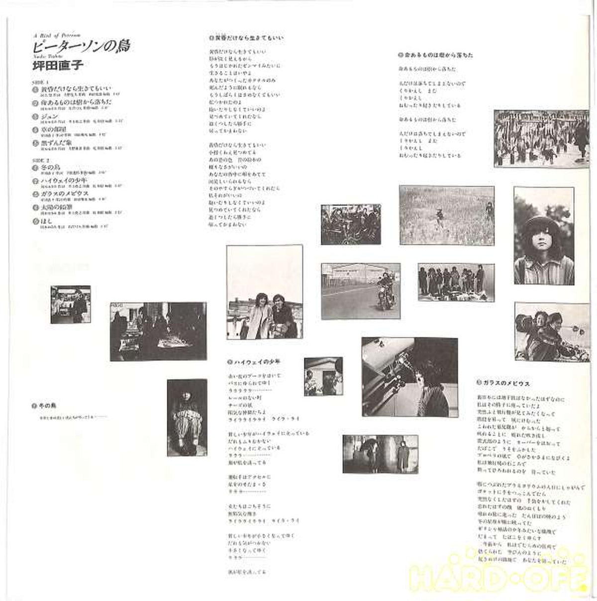 King Naoko Tsubota "Peterson's Bird" SKA-1025