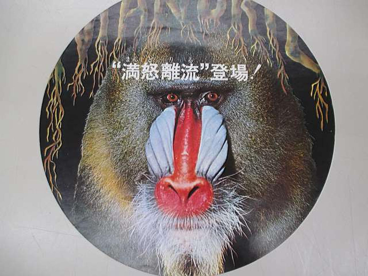 POLYDOR GOLDEN EARRING MP9367