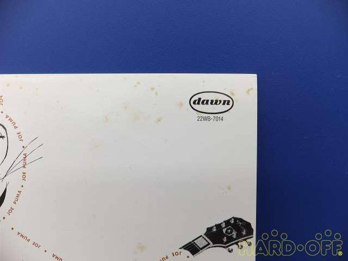 Fun House Co., Ltd. WILD KITTEN/JOE PUMA 22WB-7014/WILD KITTEN/JOE PUMA