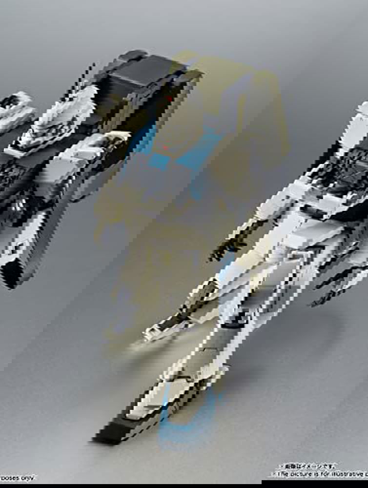 BANDAI SPIRITS(バンダイ スピリッツ) ROBOT魂 機動戦士ガンダム 第08MS小隊 <SIDE MS> RX-79(G)Ez-8 ガンダムEz-8 ver. A.N.I.M.E. 約125mm ABS&PVC製 塗装済み可動フィギュア - BanzaiHobby