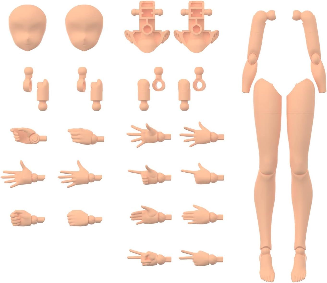 Bandai 30MS Optional Body Parts, Arm Parts & Leg Parts, Color C - BanzaiHobby