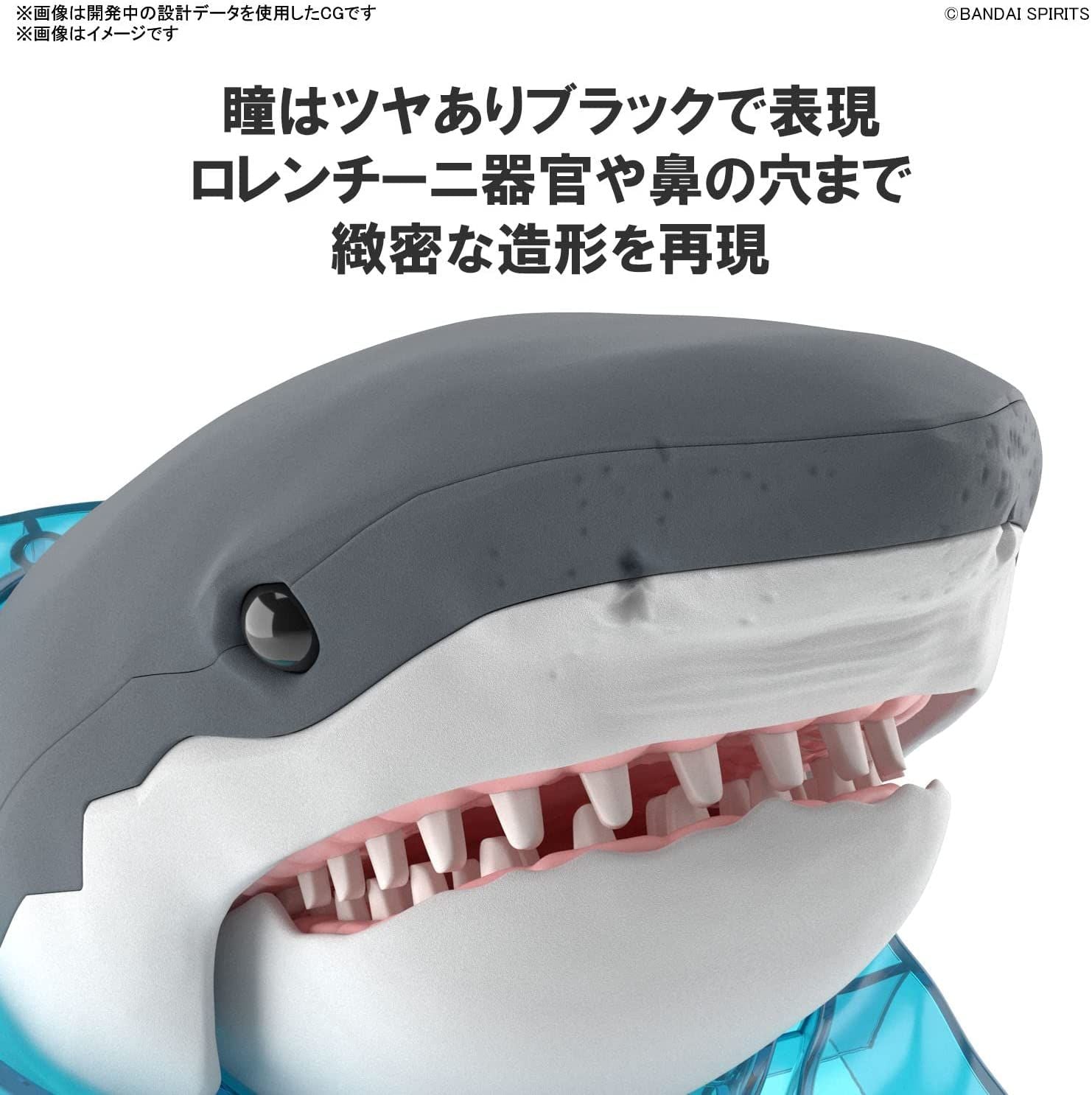 Bandai Exploring Lab Nature White Shark Color Coded Plastic Model - BanzaiHobby