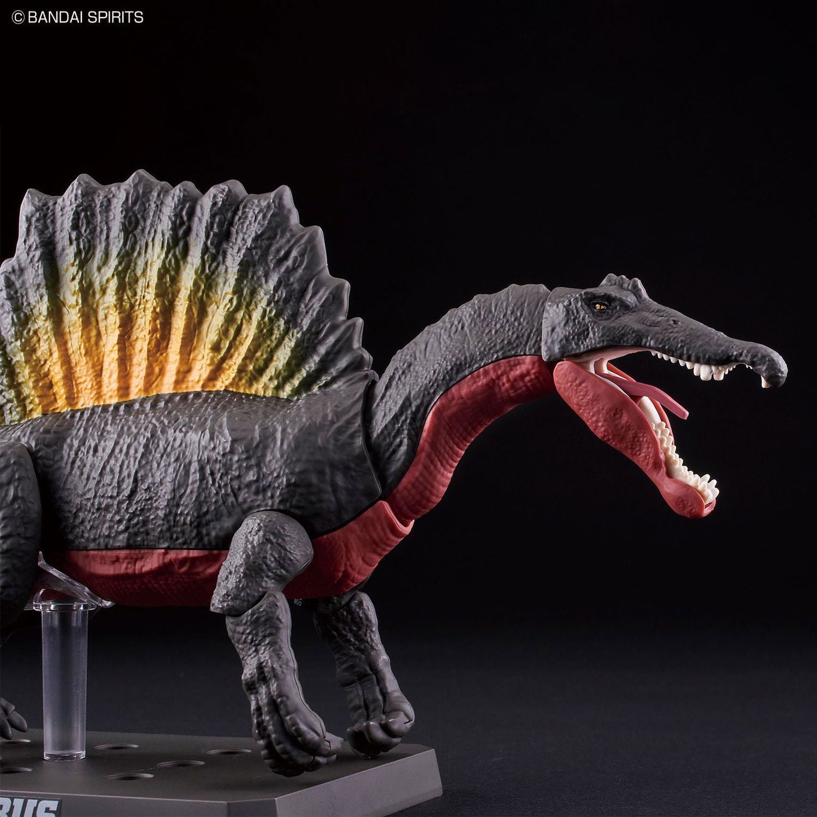 Bandai Planosaurus 05 | Spinosaurus Plastic Model - BanzaiHobby