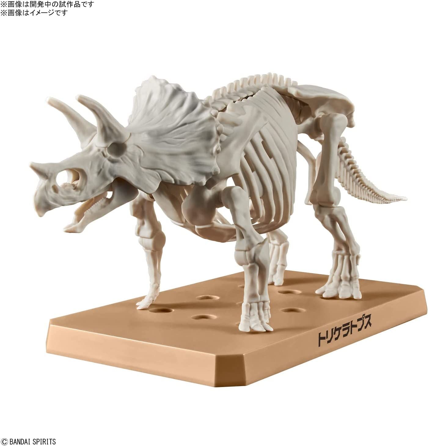 Bandai Planosaurus Triceratops Color Coded Plastic Model - BanzaiHobby