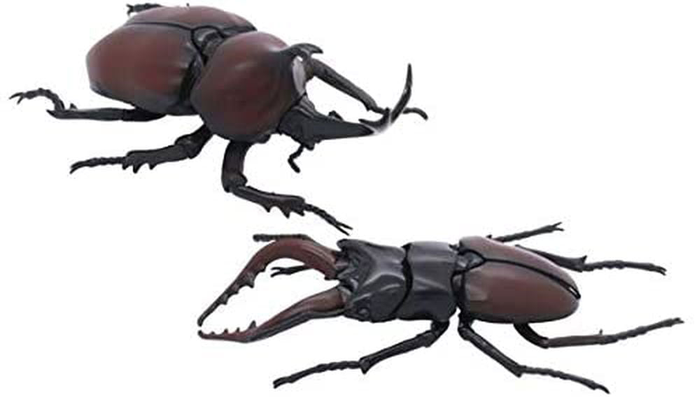 Fujimi Biology Edition Beetle vs Stag Beetle Showdown Set - BanzaiHobby