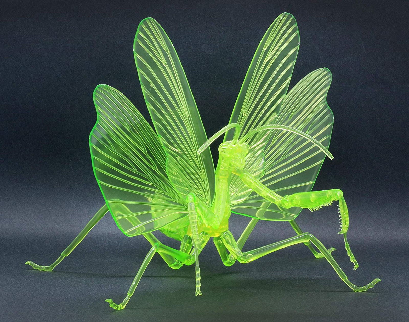 Fujimi Biology Edition Big Mantis (Clear Green) - BanzaiHobby