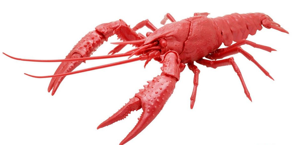 Fujimi Biology Edition Crayfish (Metallic Red) - BanzaiHobby