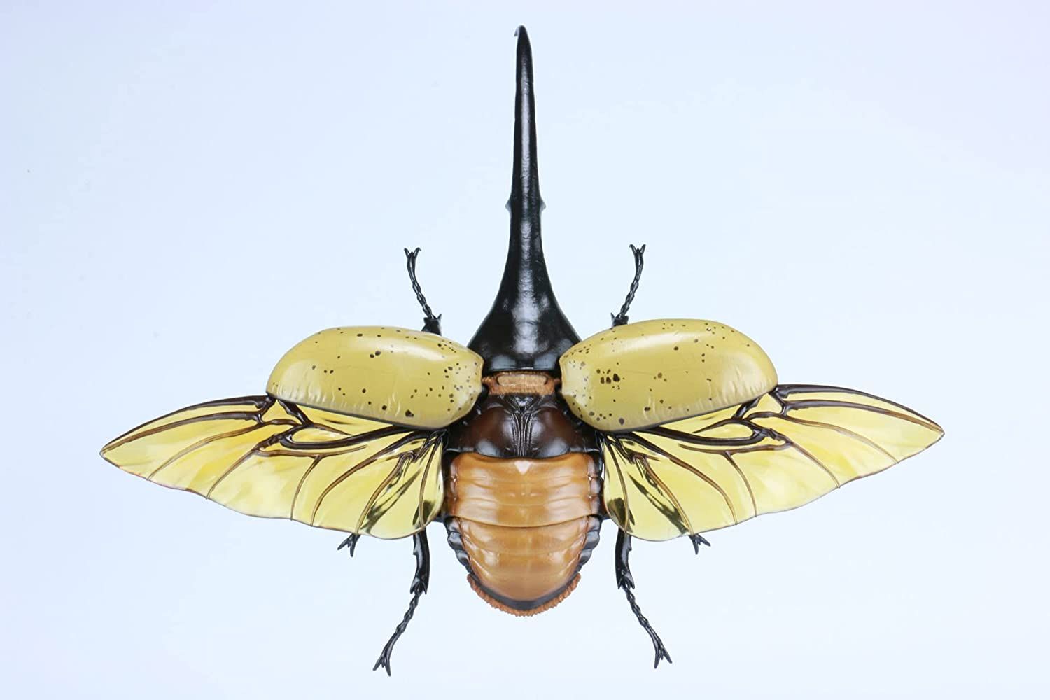 Fujimi Biology Edition Dynastes Hercules Standup Corgi Kwakabu Room ver - BanzaiHobby