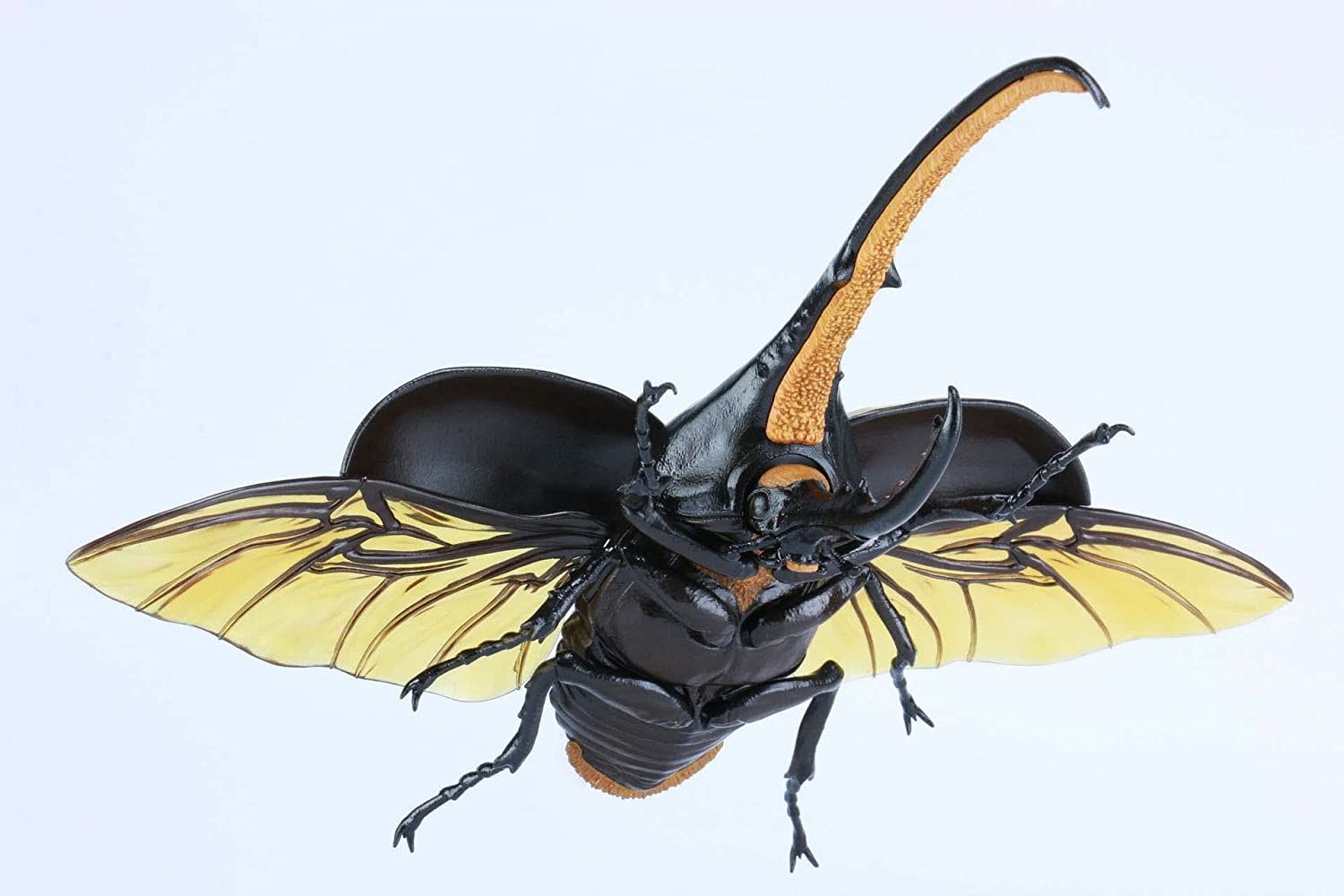 Fujimi Biology Edition Dynastes Hercules Standup Corgi Kwakabu Room ver - BanzaiHobby