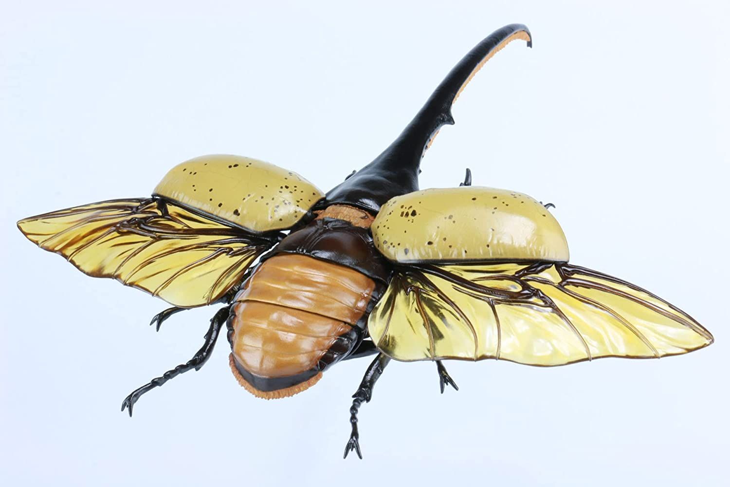 Fujimi Biology Edition Dynastes Hercules Standup Corgi Kwakabu Room ver - BanzaiHobby