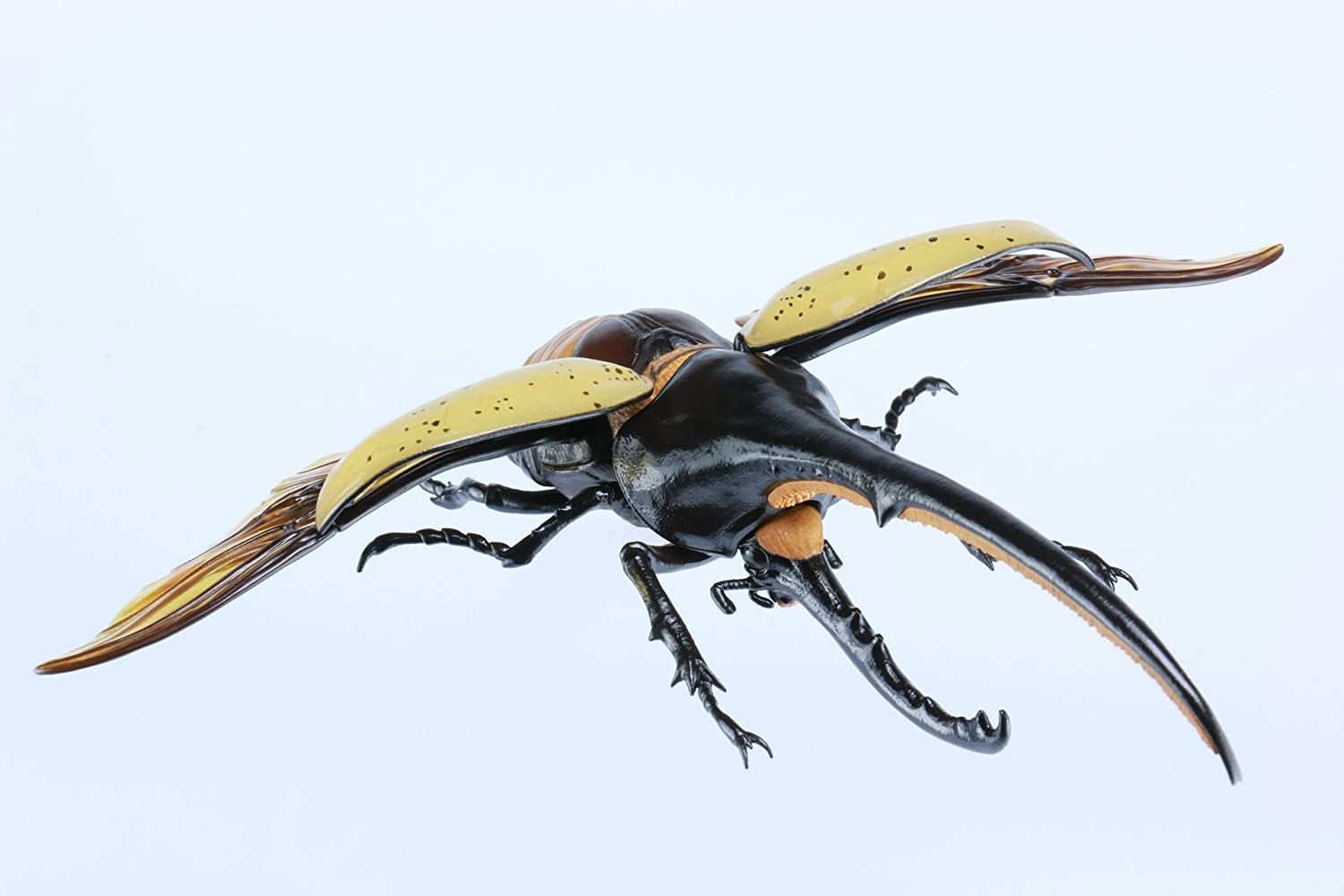 Fujimi Biology Edition Dynastes Hercules Standup Corgi Kwakabu Room ver - BanzaiHobby