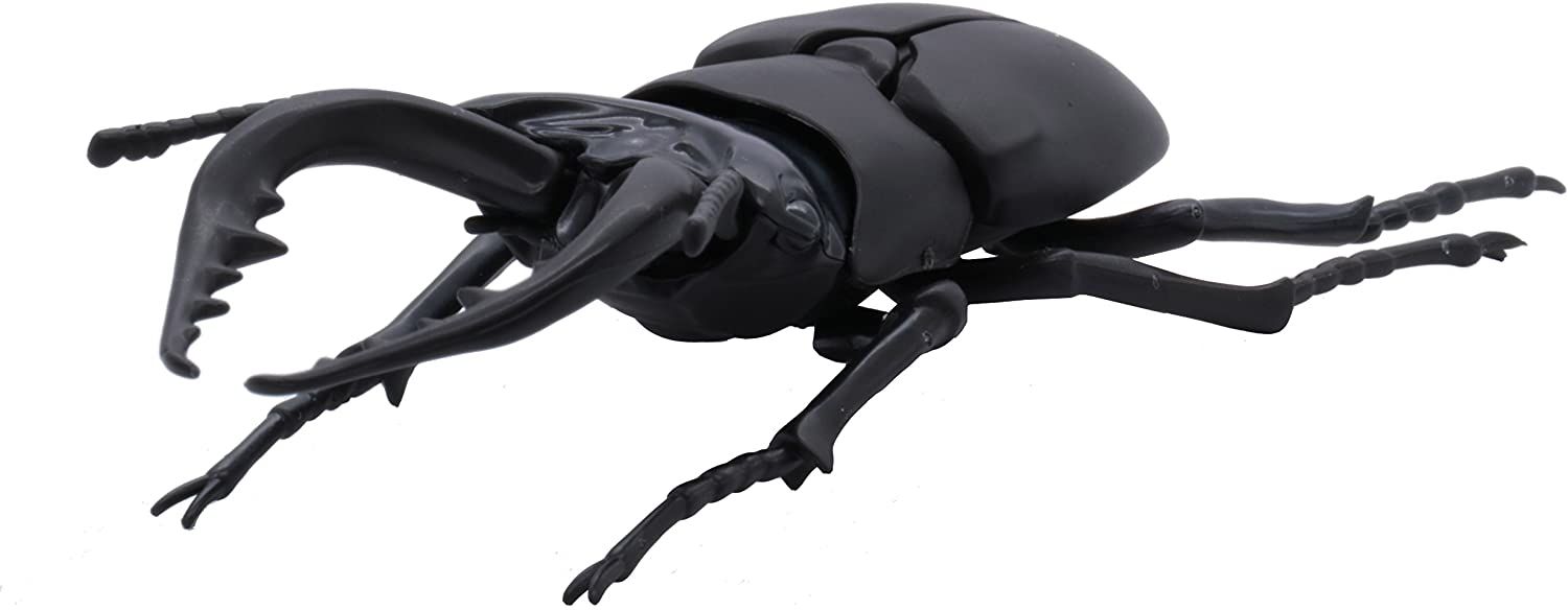Fujimi Biology Edition Stag Beetle - BanzaiHobby