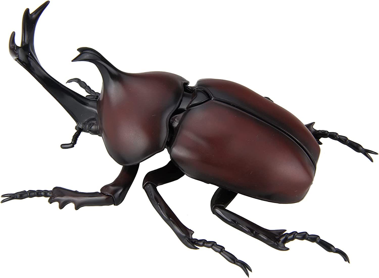 Fujimi Fujimi Model Free Research Series No. 21 Ikimono Edition Beetle - BanzaiHobby