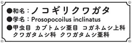 Fujimi Fujimi Model Free Research Series No. 22 Ikimono Edition Stag Bu - BanzaiHobby