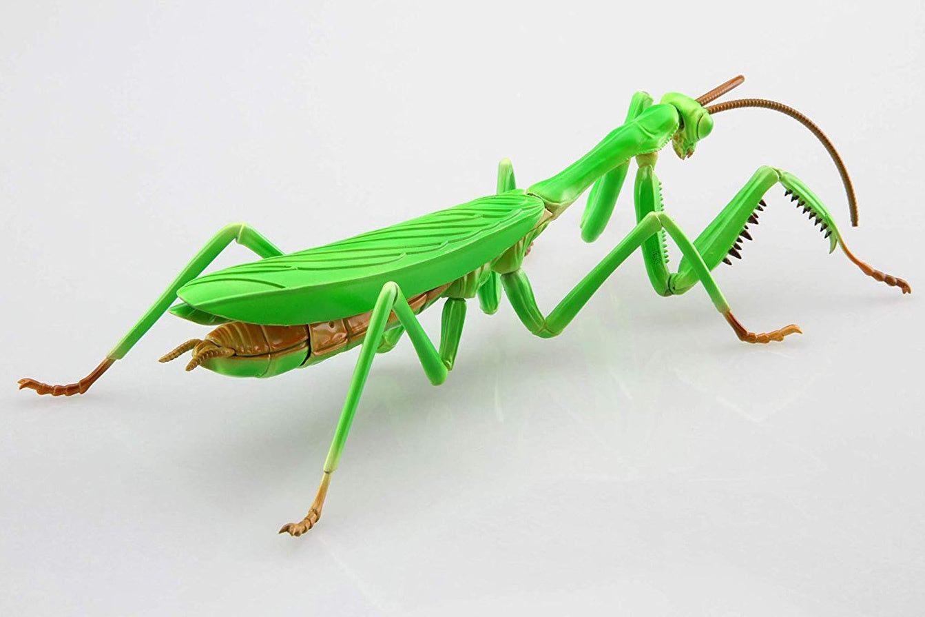 Fujimi Living Thing Arc: Tenodera Aridifolia (Japanese Giant Mantis) - BanzaiHobby