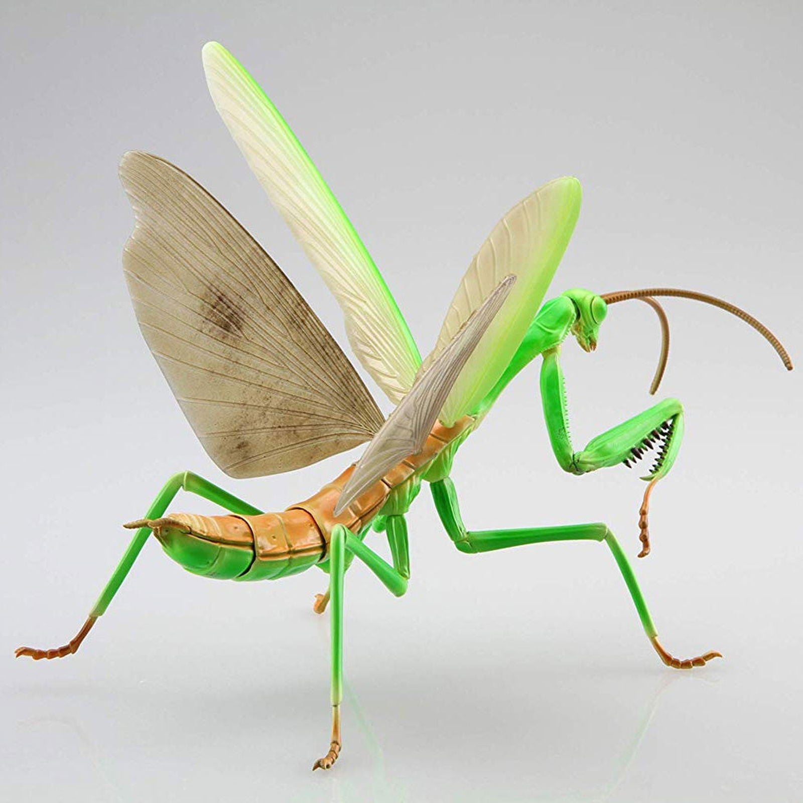 Fujimi Living Thing Arc: Tenodera Aridifolia (Japanese Giant Mantis) - BanzaiHobby
