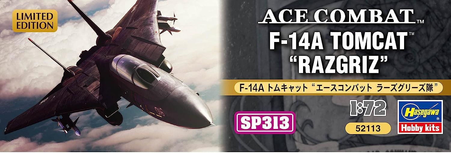 Hasegawa F-14A Tomcat `Ace Combat Razgriz Squadron` - BanzaiHobby