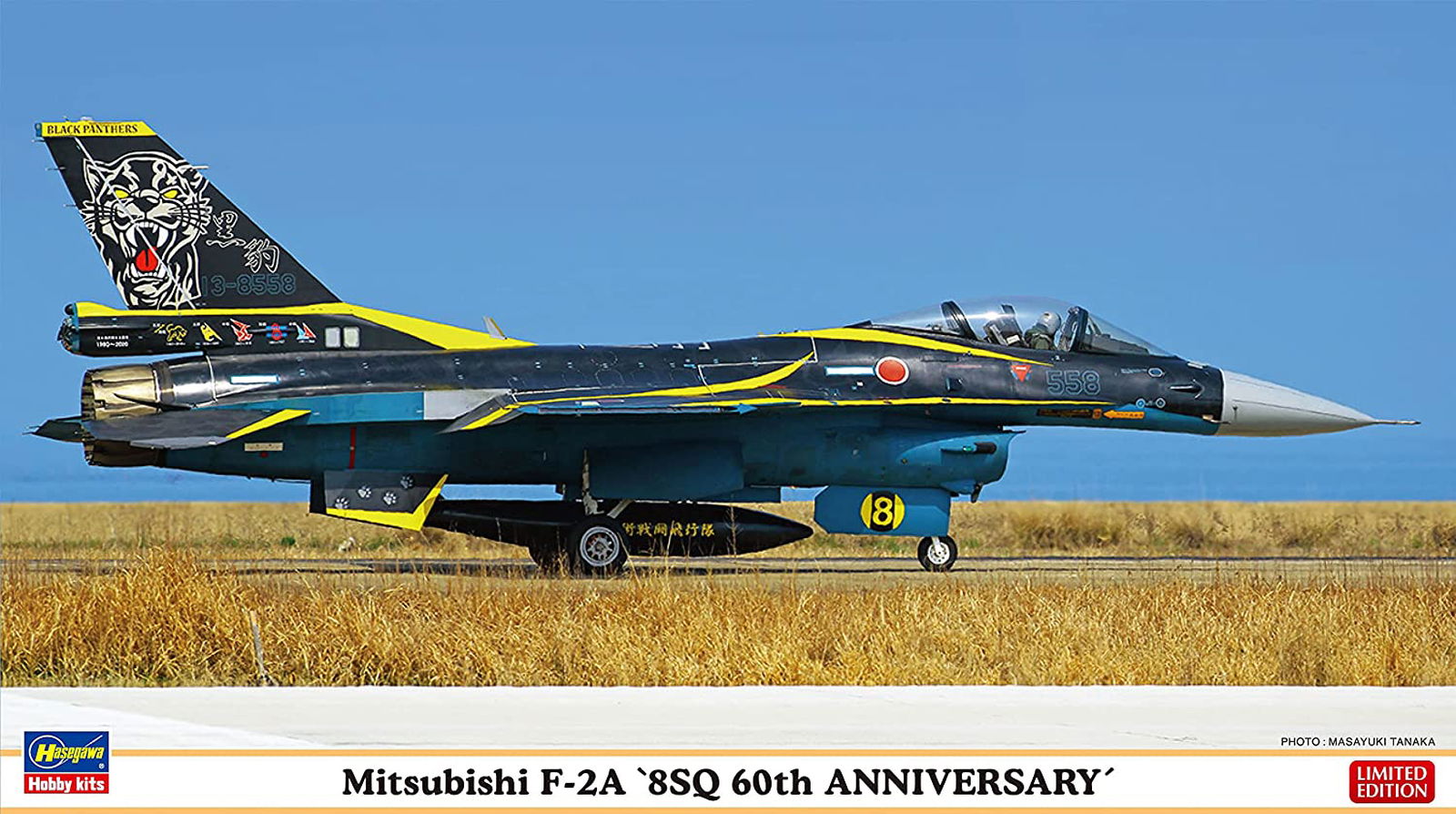 Hasegawa Mitsubishi F-2A `8SQ 60th Anniversary` - BanzaiHobby