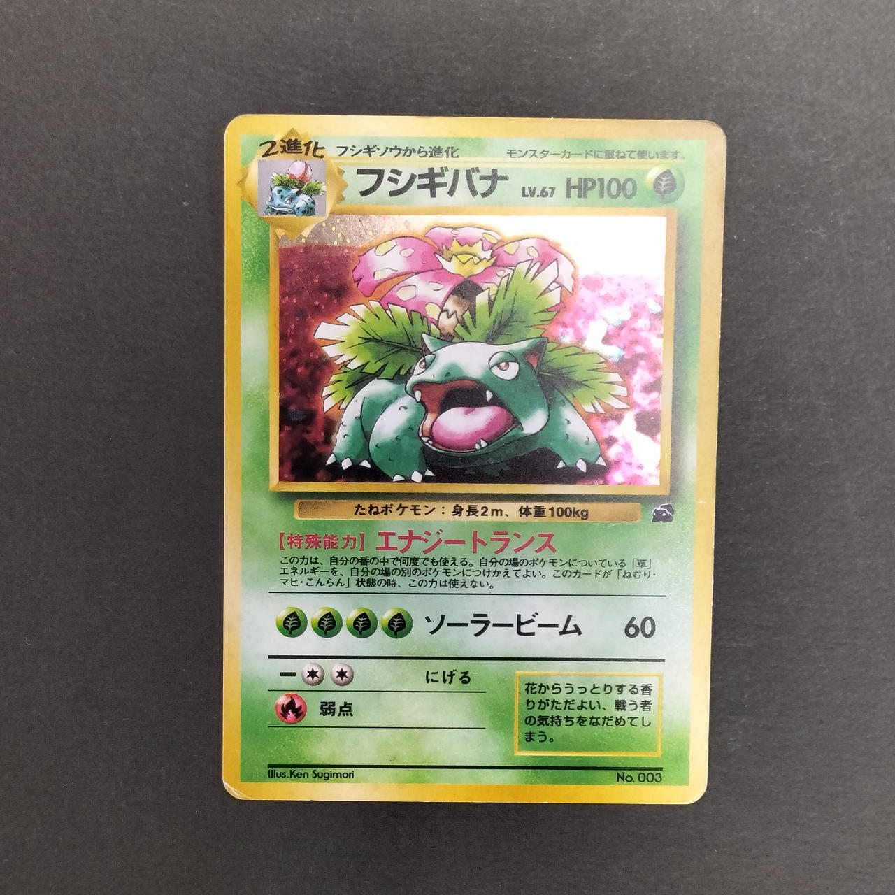 フシギダネ Bulbasaur 旧裏 Old Back Pokémon Card Bulbasaur Old Back Promo Card Swap Sex – BanzaiHobby