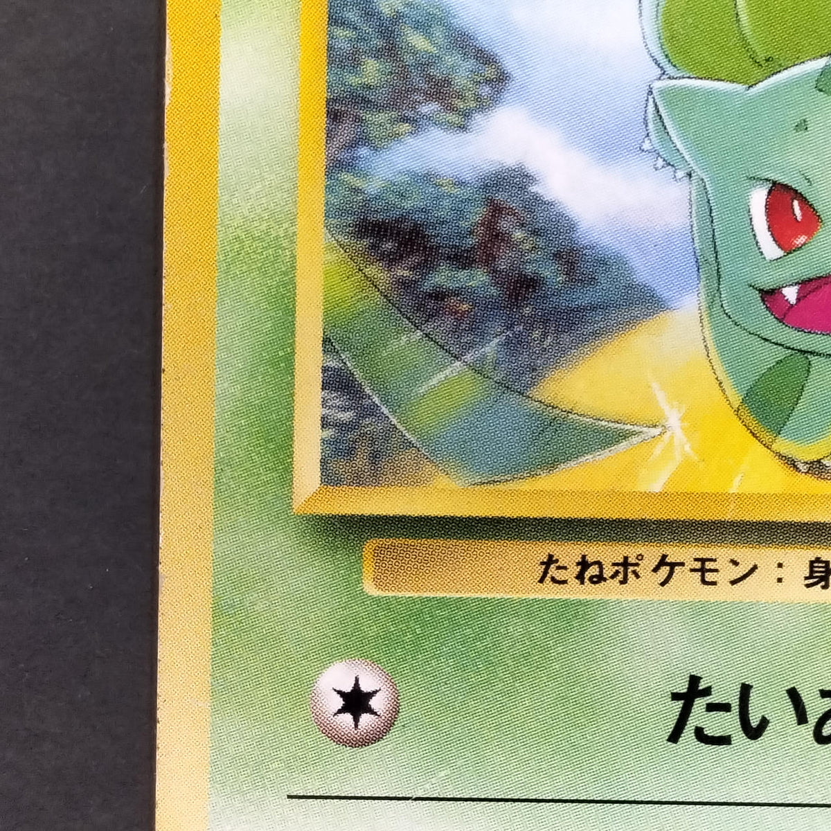 Pokémon Card Bulbasaur LV.12 Old Back Intro Pack