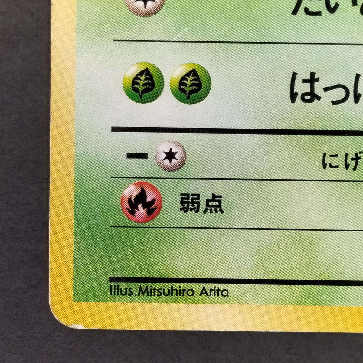Pokémon Card Bulbasaur LV.12 Old Back Intro Pack