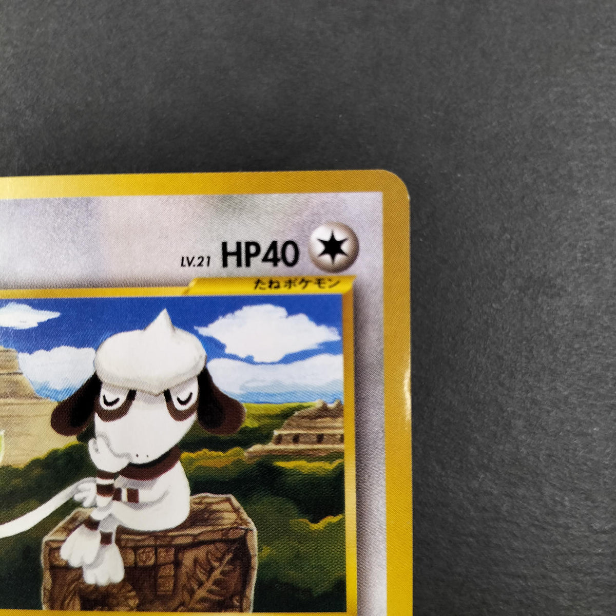 Pokémon Card Doverre Old Back Promo Official Magazine Trainers VOL.7