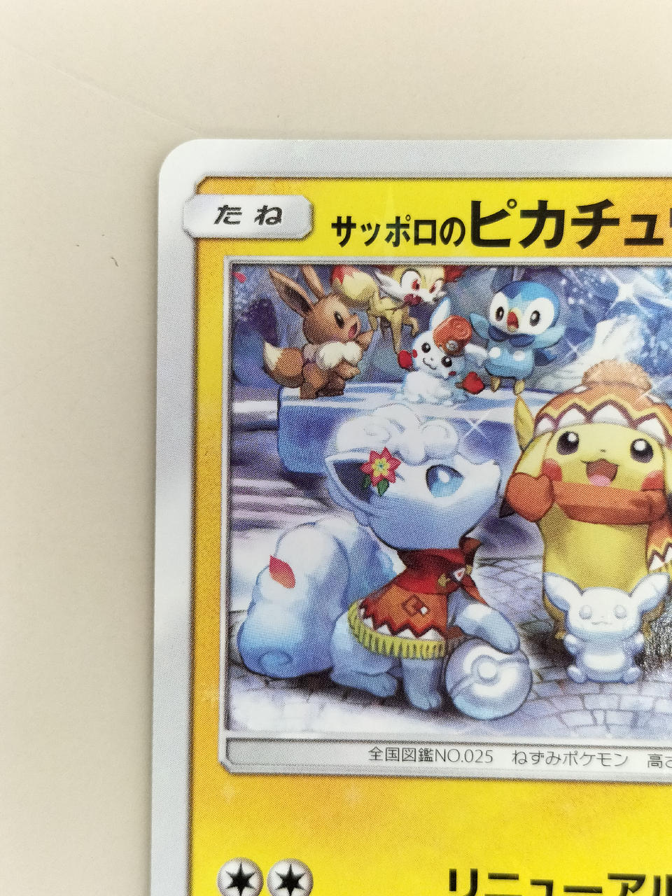 Pokémon Sapporo Pikachu 005/SM/P Others (No Rarity)