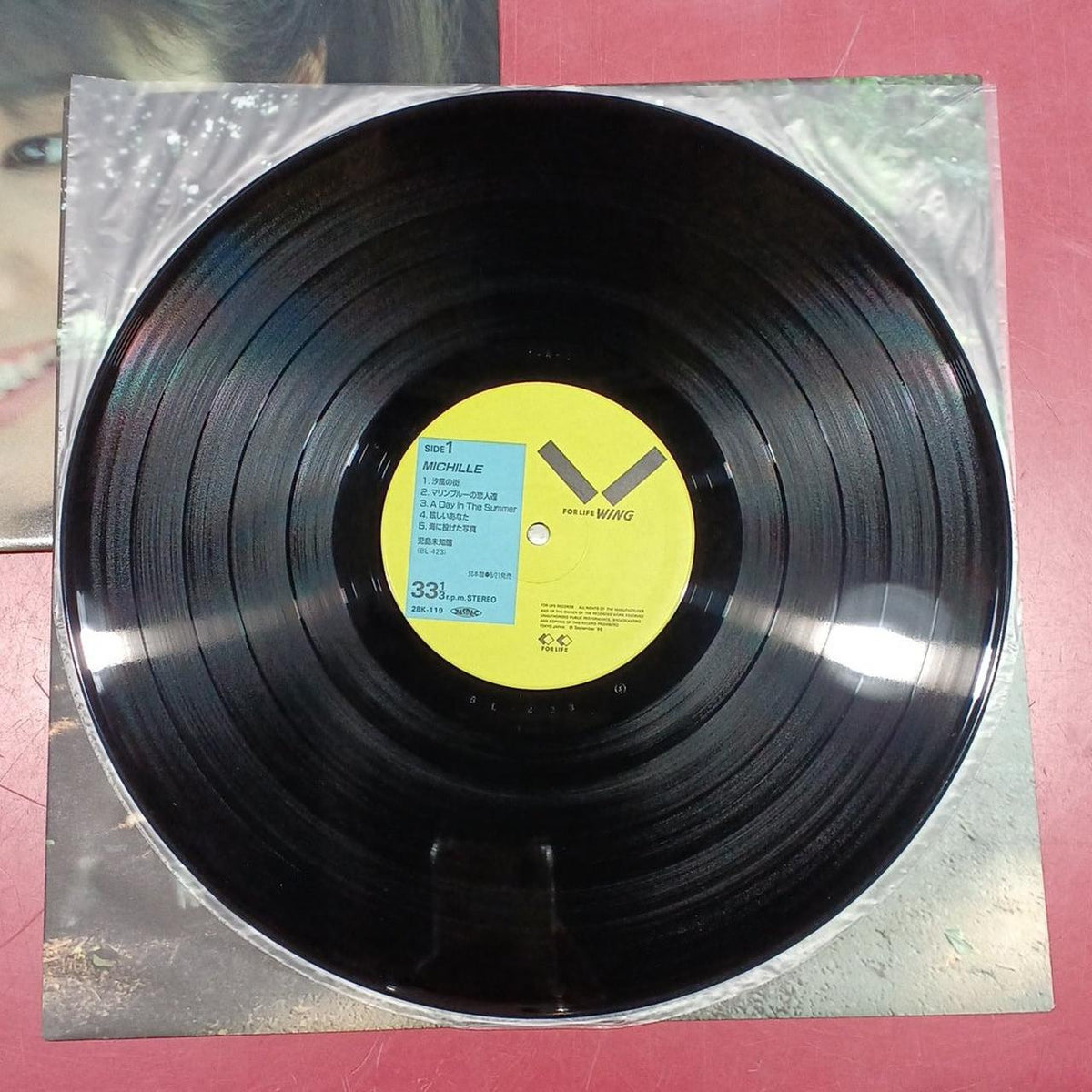 SOLID RECORDS Record MICHILLE +1