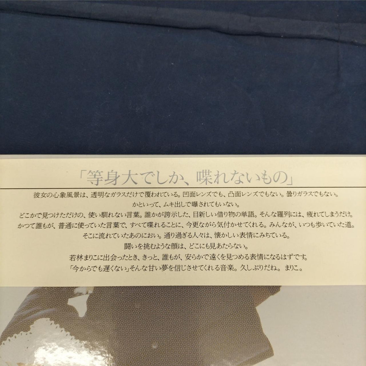 VAP Co., Ltd. Mariko Wakabayashi 'End of a Rainbow' Sample Disc 30220-28
