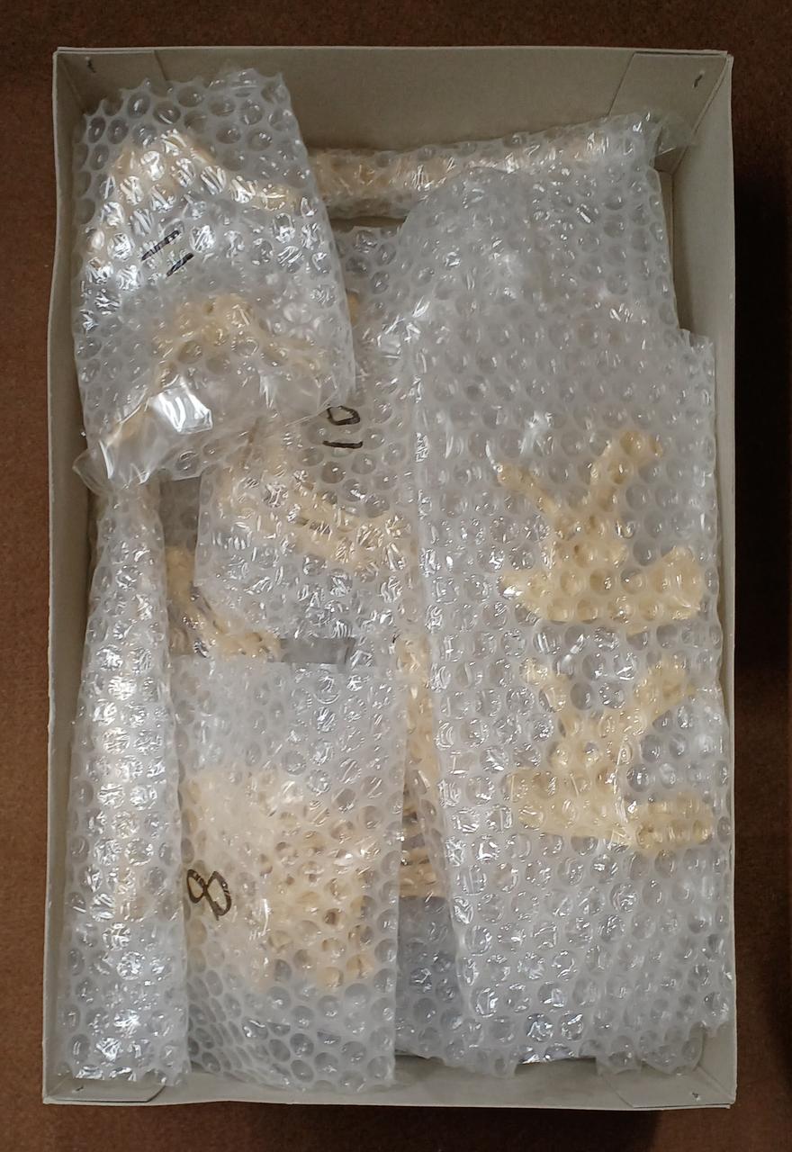 M1 Godzilla Skeleton: Godzilla Skeleton - Banzai Thrifting | BanzaiHobby