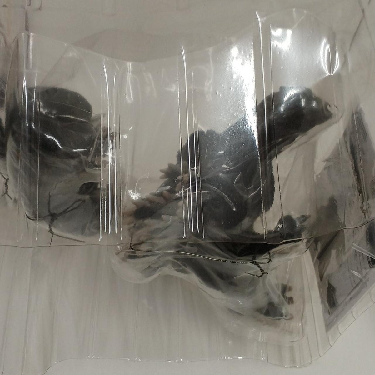 plex Godzilla (1989 version) Toho Mega Monster Series - Banzai Thrifting | BanzaiHobby