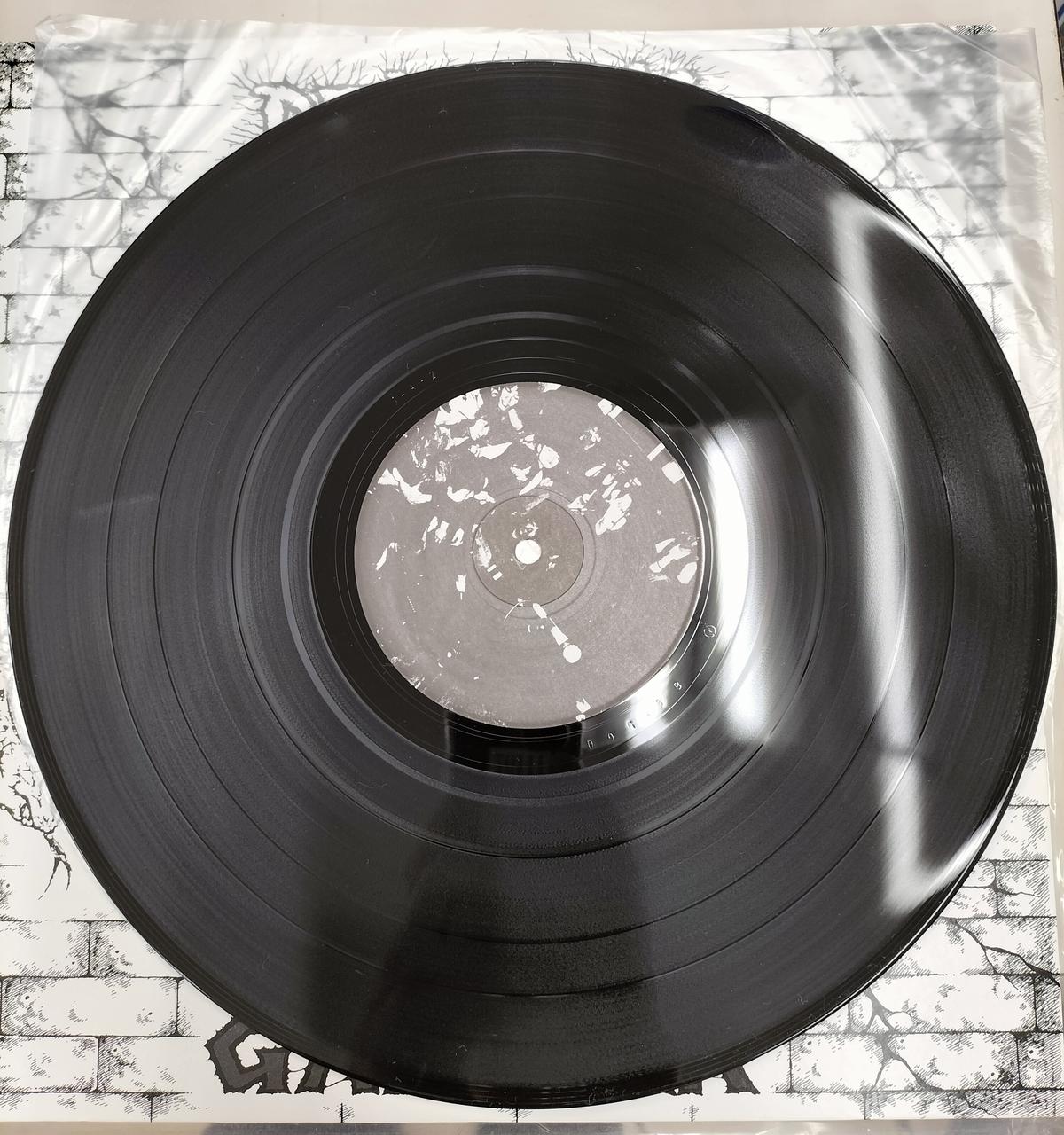 DOGMA RECORDS GASTUNK / DEAD SONG GASTUNK / DEAD SONG