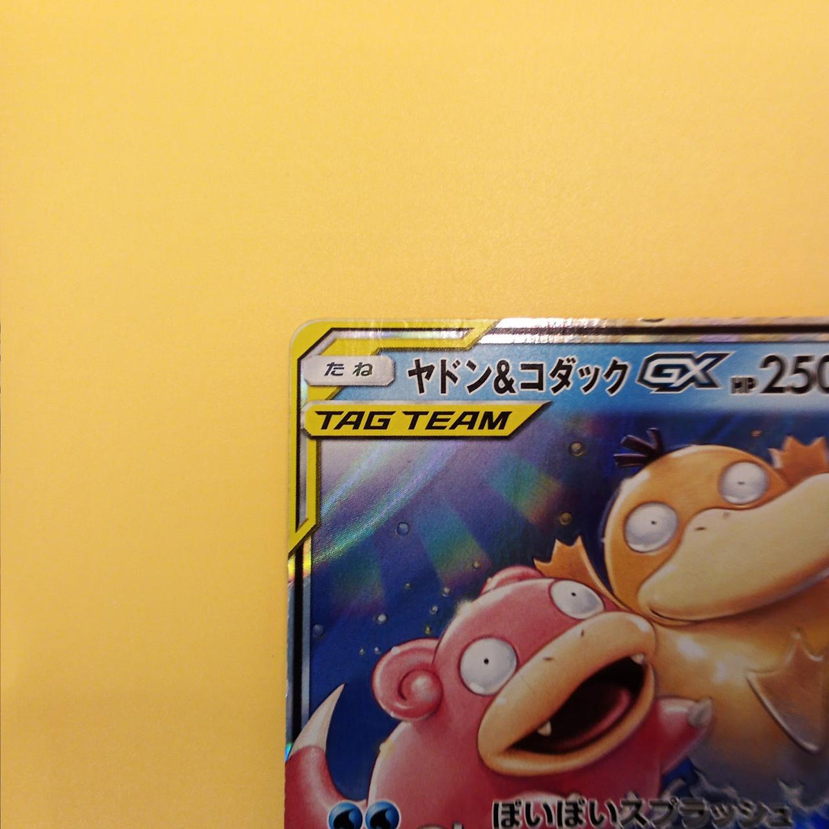 Pokémon Pokémon Card Yard & Kodak GX 011/094 RR