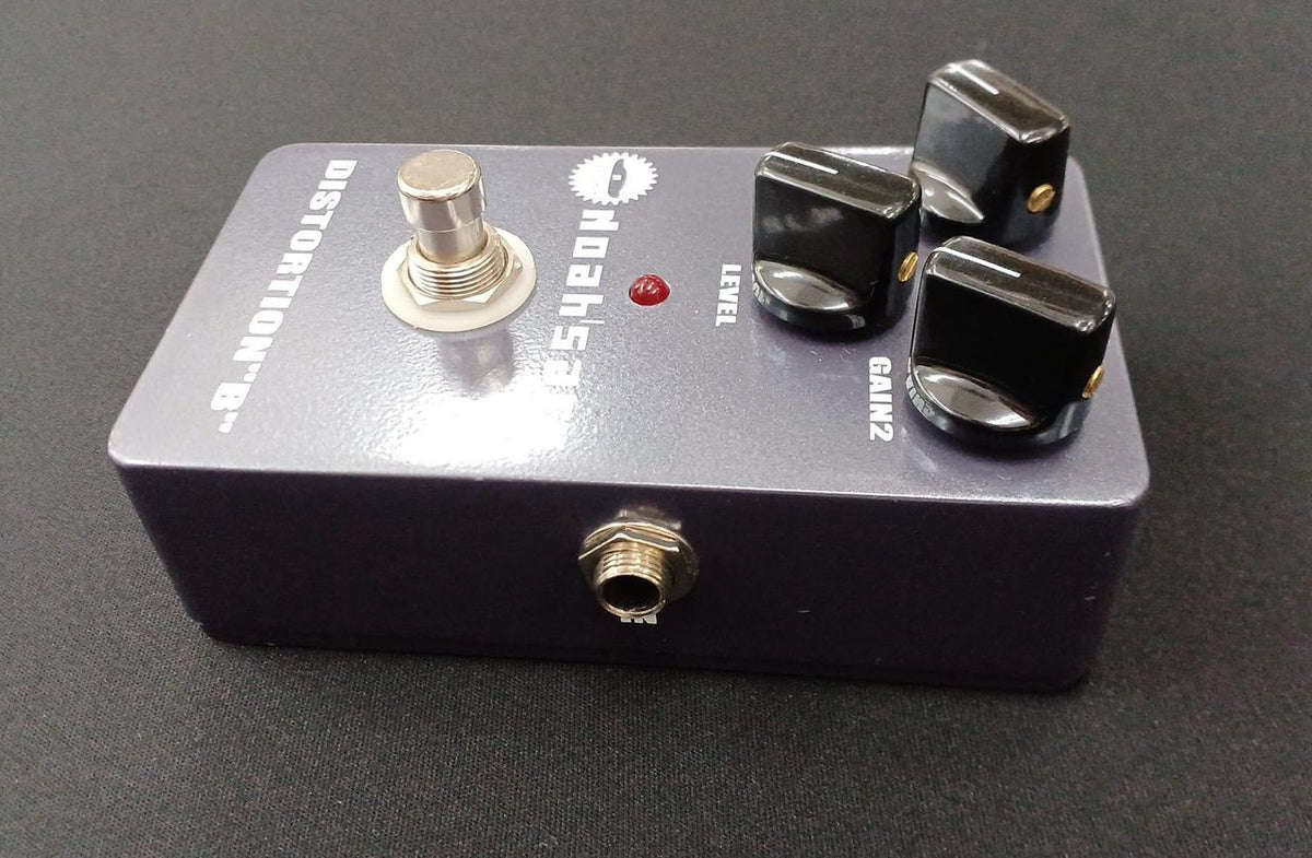 NOAH'S ARK Distortion