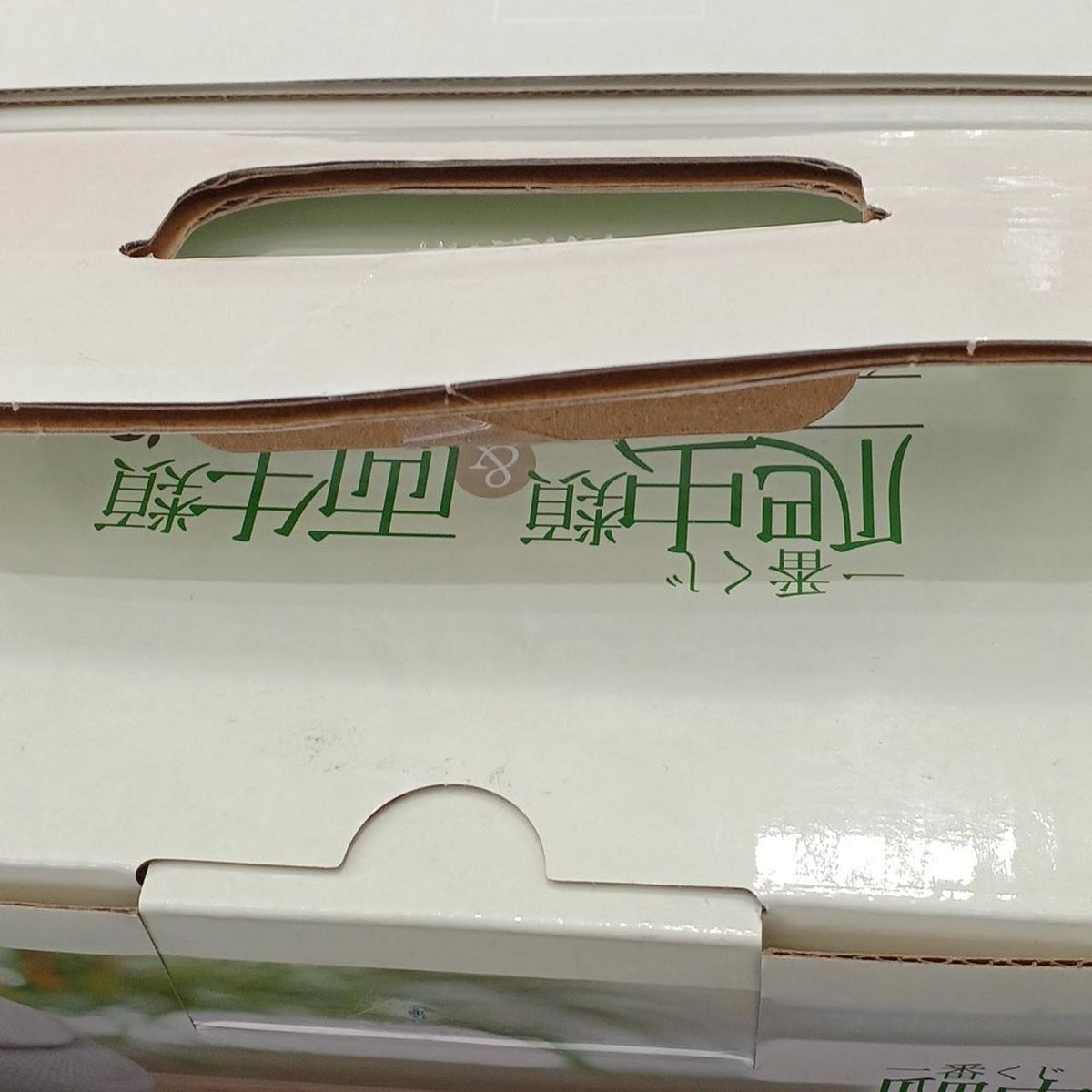 BANDAI Tissue Case Ichiban Kuji Reptiles & Amphibians 〜TINY FRIENDS〜VOL.