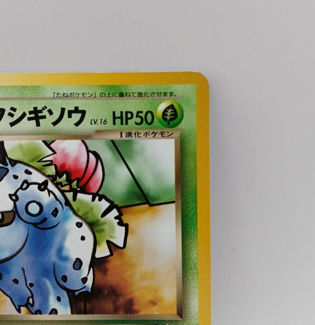 Pokémon Corporation Pokémon Card Bad Bulbasaur