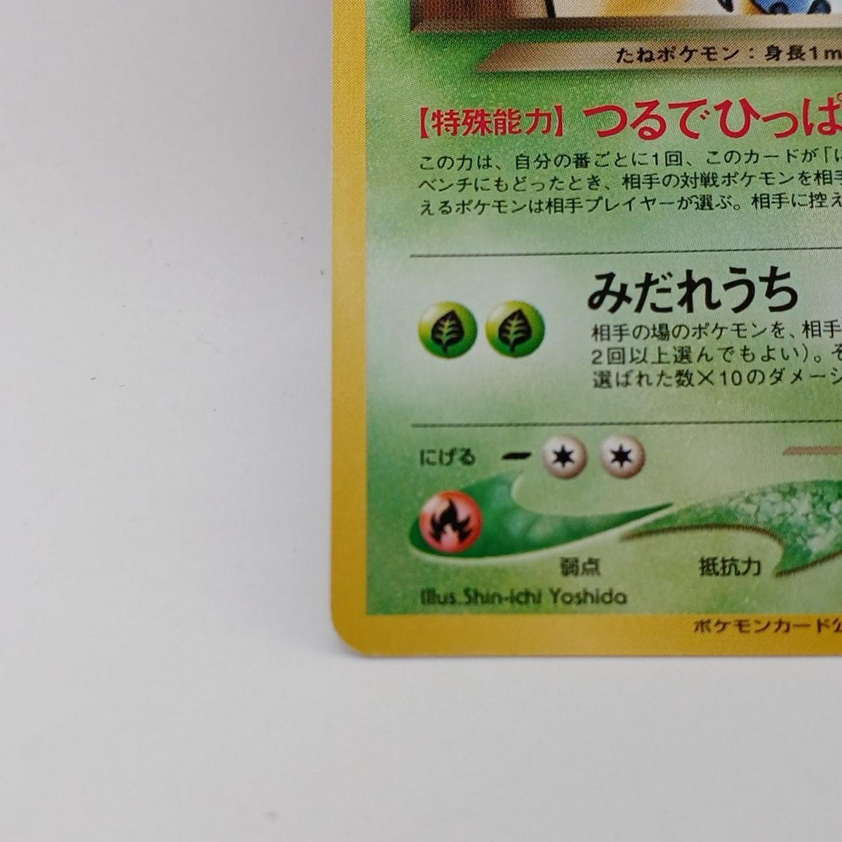 Pokémon Corporation Pokémon Card Bad Bulbasaur