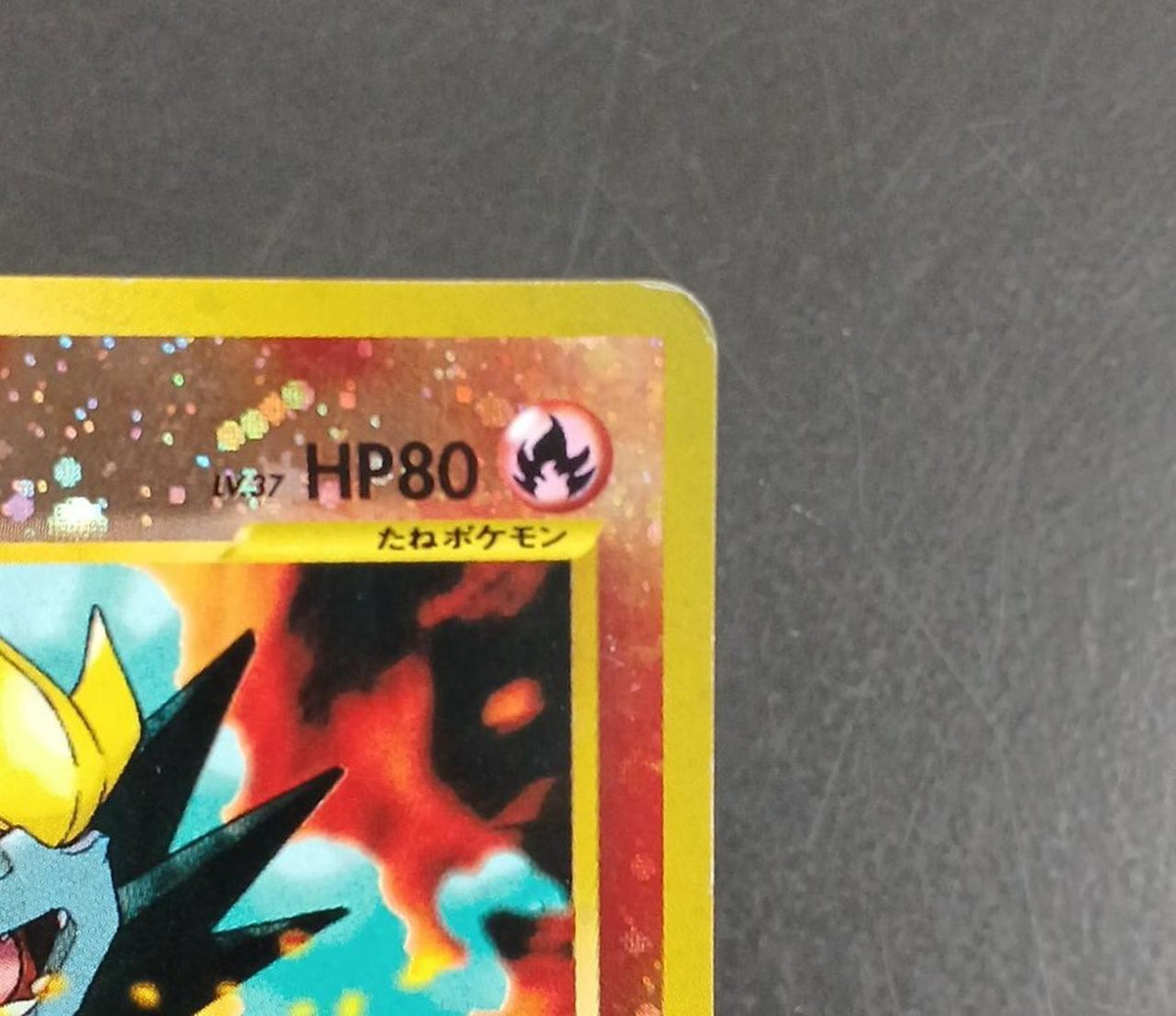 Pokémon Corporation Pokémon Card Entry