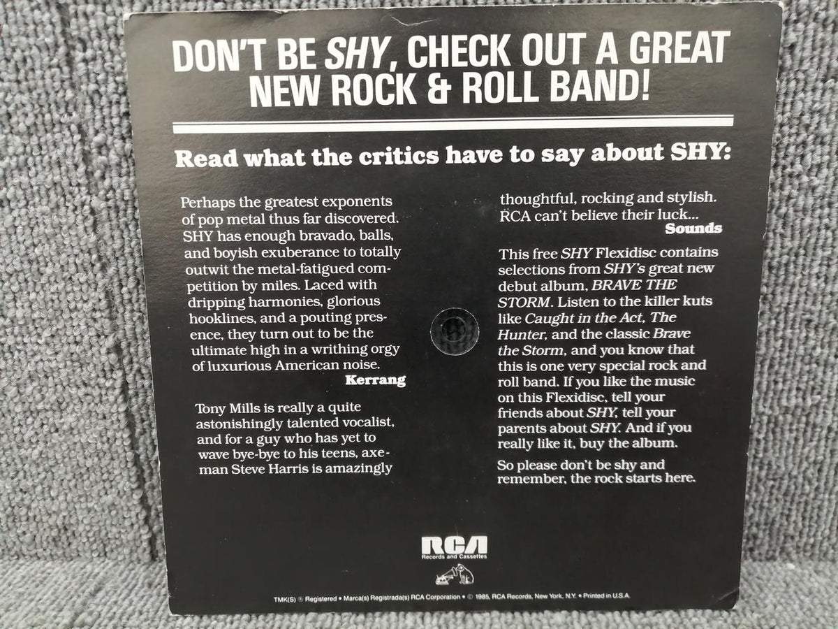 RCA EP SHY/BRAVE THE STORM