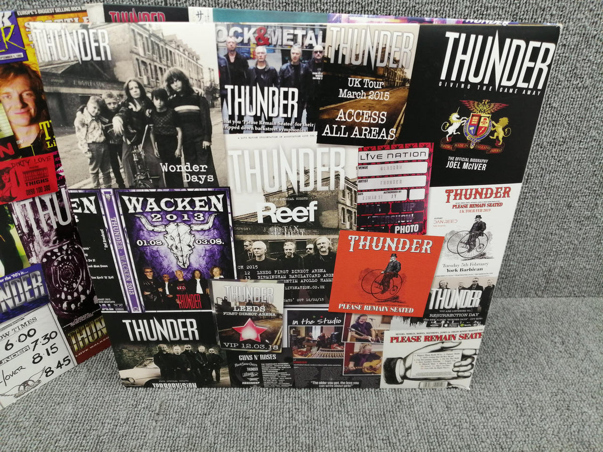 BMG Analog Record THUNDER/THE GREATEST HIT