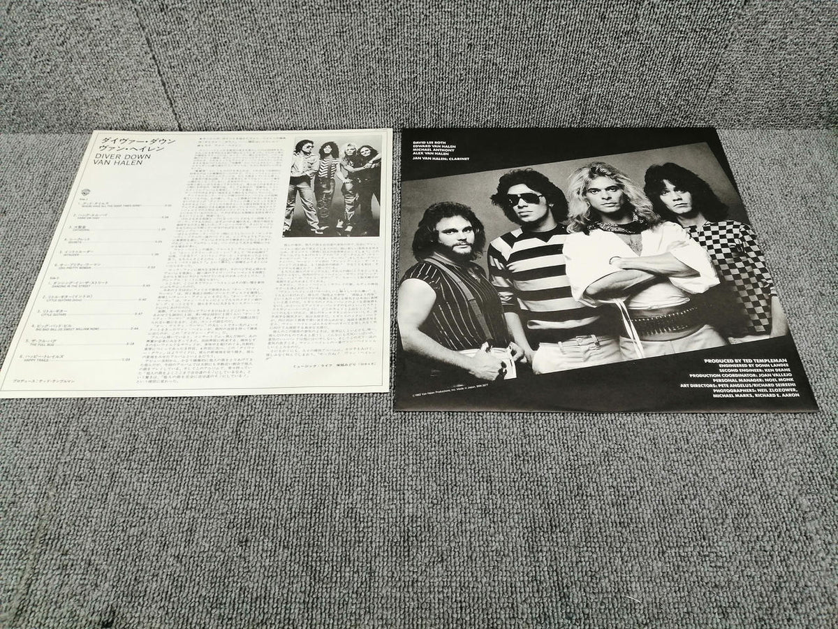 WARNER BROS. RECORDS Analog Record VAN HALEN / DIVER DOWN